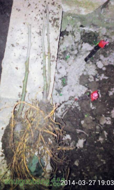QQͼƬ20140328192001.jpg