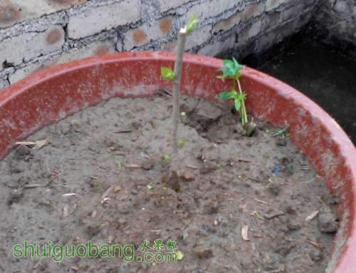 QQͼƬ20140331203903.jpg