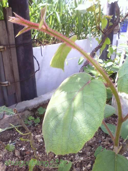 IMG0403102700.jpg
