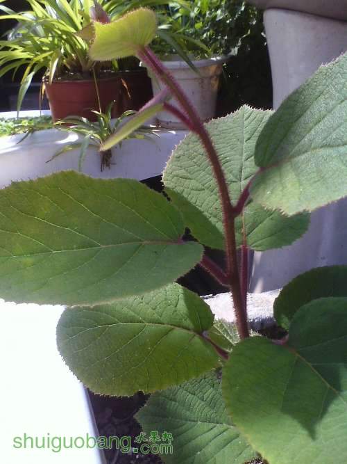 IMG0403102800.jpg