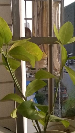 WP_20140329_005.jpg