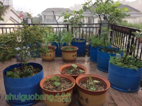 2014-04-04 063626.jpg