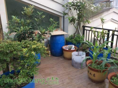 2014-04-04 063640.jpg