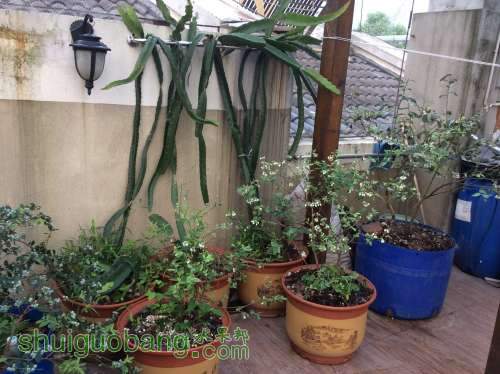 2014-04-04 063711.jpg