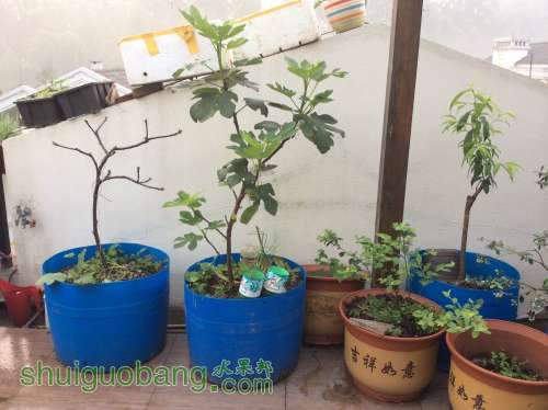 2014-04-04 063742.jpg