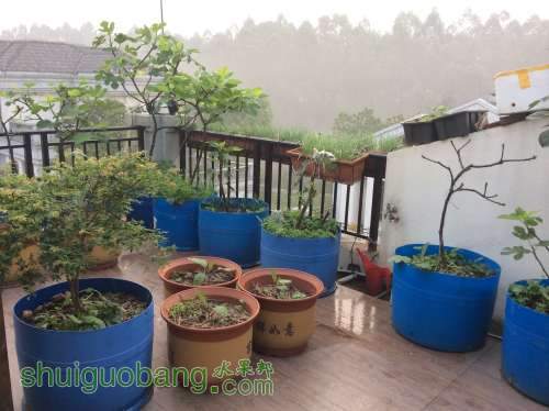 2014-04-04 063754.jpg