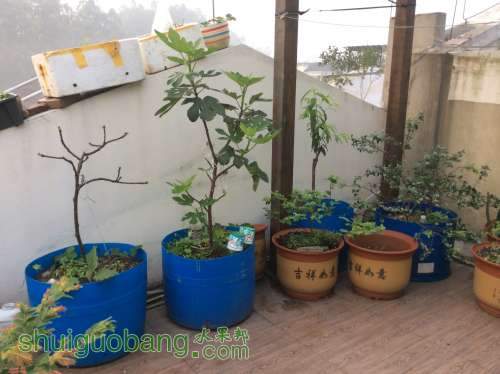 2014-04-04 063806.jpg