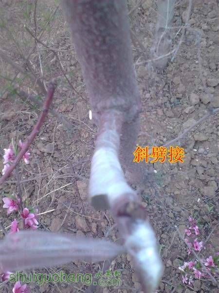 IMG_20140402_180718 (����).jpg