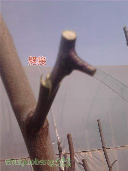 IMG_20140402_144443 (����).jpg