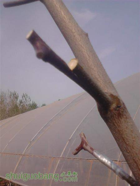 IMG_20140402_144449 (����).jpg