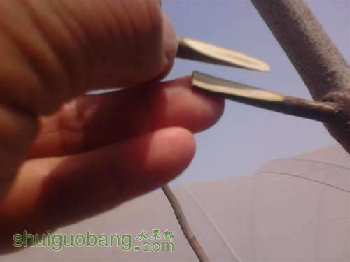 IMG_20140402_144619 (����).jpg