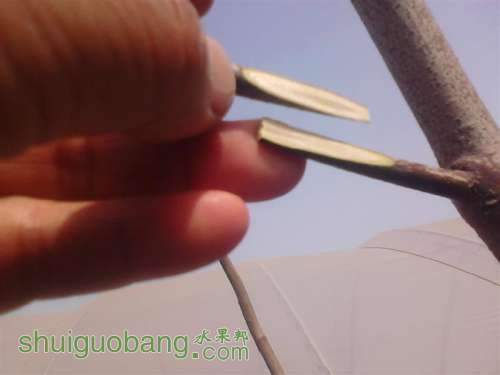 IMG_20140402_144625 (����).jpg