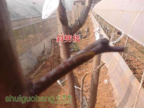 IMG_20140402_150302 (����).jpg