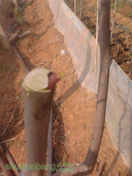 IMG_20140402_150904 (����).jpg