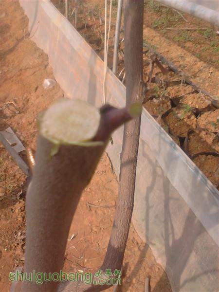 IMG_20140402_150914 (����).jpg