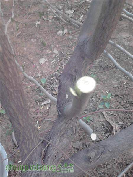 IMG_20140402_163036 (����).jpg