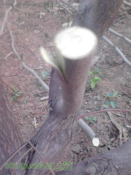 IMG_20140402_163040 (����).jpg