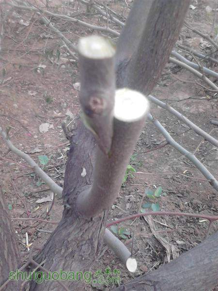 IMG_20140402_163056 (����).jpg