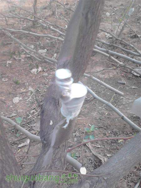 IMG_20140402_163204 (����).jpg