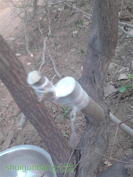 IMG_20140402_163211 (����).jpg