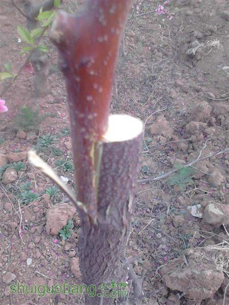 IMG_20140402_173340 (����).jpg