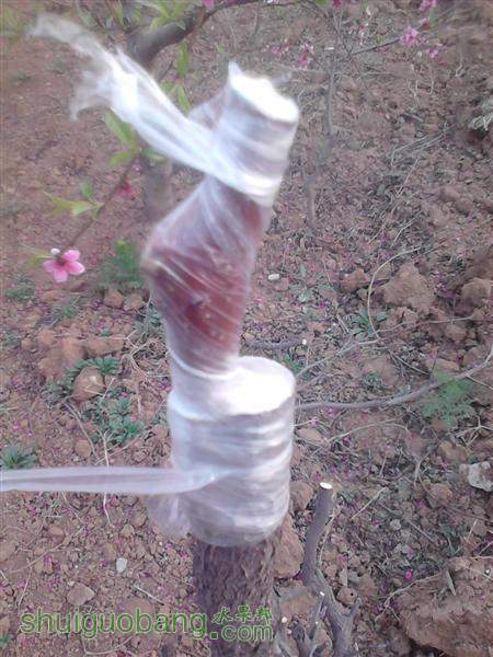 IMG_20140402_173502 (����).jpg