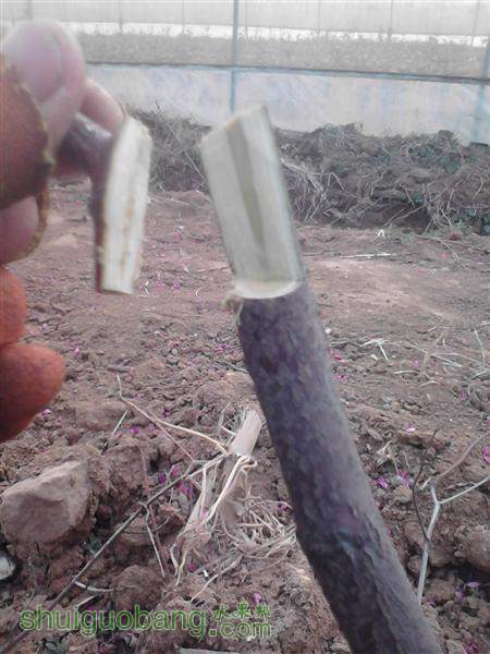 IMG_20140402_174212 (����).jpg