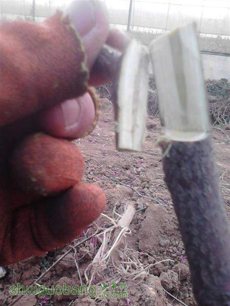 IMG_20140402_174217 (����).jpg