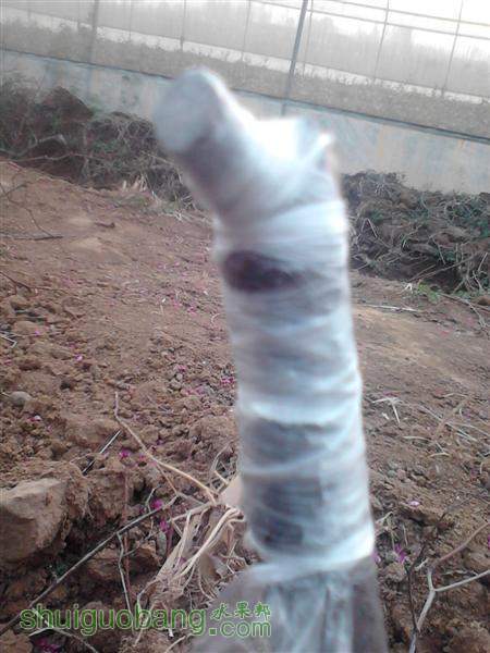 IMG_20140402_174336 (����).jpg