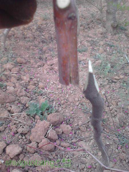 IMG_20140402_174536 (����).jpg