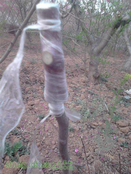 IMG_20140402_174718 (����).jpg