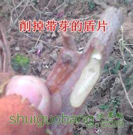 IMG_20140402_174851 (����).jpg