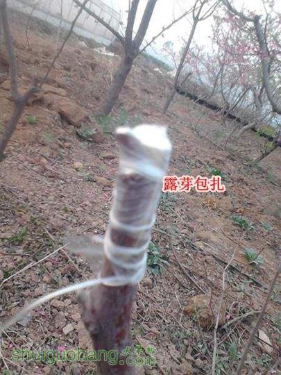 IMG_20140402_175003 (����).jpg