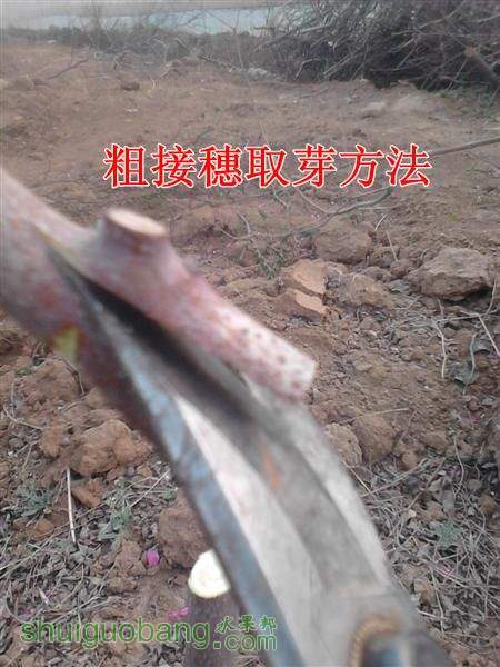 IMG_20140402_175119 (����).jpg