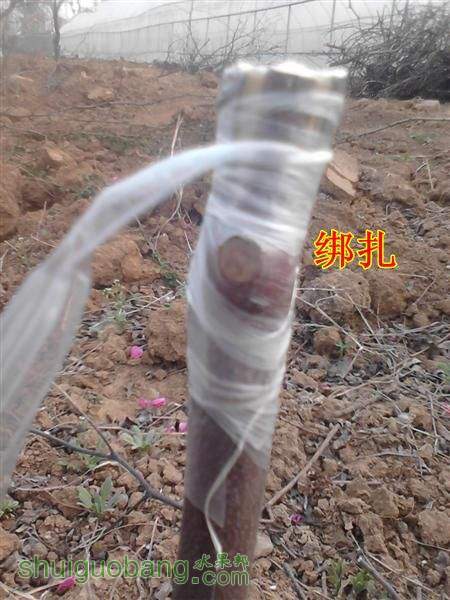 IMG_20140402_175341 (����).jpg