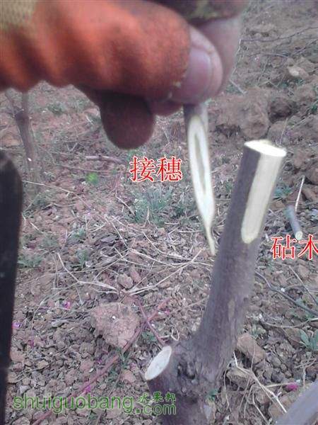 IMG_20140402_175443 (����).jpg