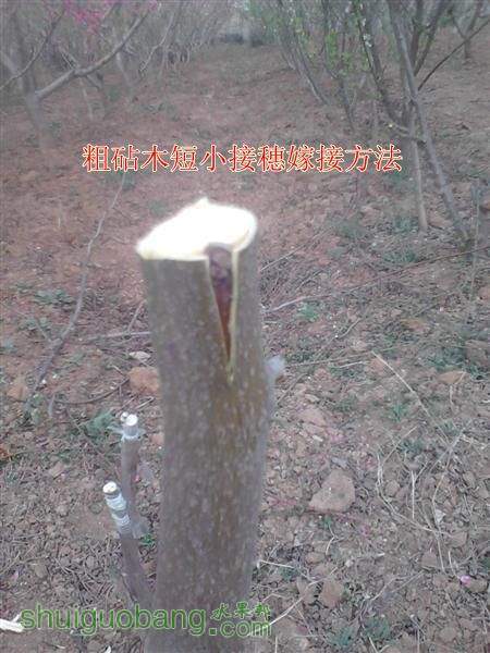 IMG_20140402_175741 (����).jpg