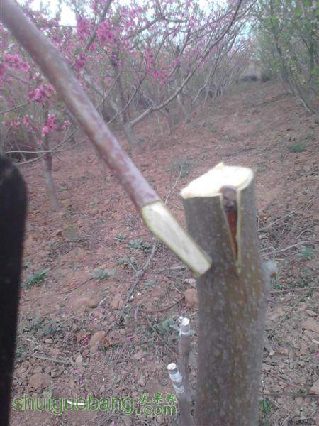 IMG_20140402_175756 (����).jpg