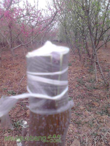 IMG_20140402_175833 (����).jpg