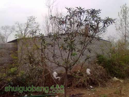 20140402056.jpg
