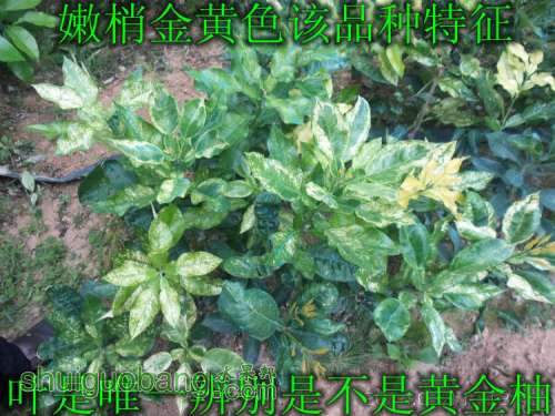 20140311_134512.jpg