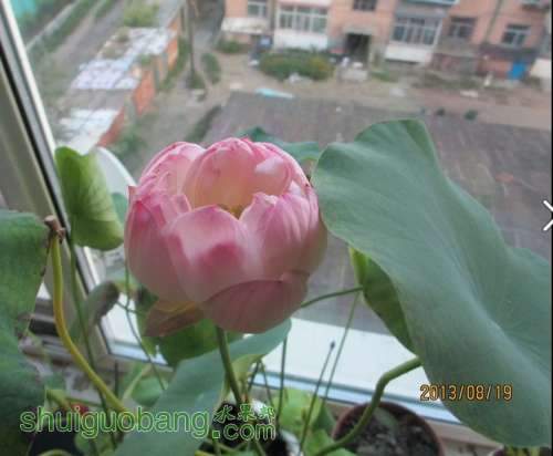 QQͼƬ20140406115150.jpg