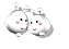 5.gif