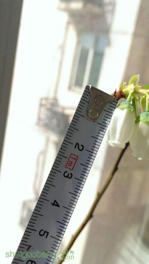 QQͼƬ20140406185643.jpg
