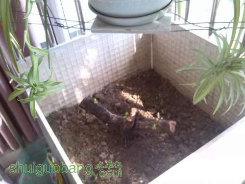 QQͼƬ20140407145920.jpg