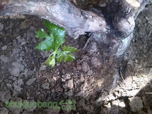 QQͼƬ20140407145931.jpg