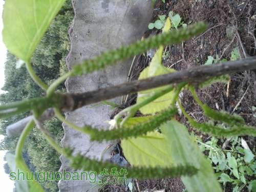 20140316_125834.jpg