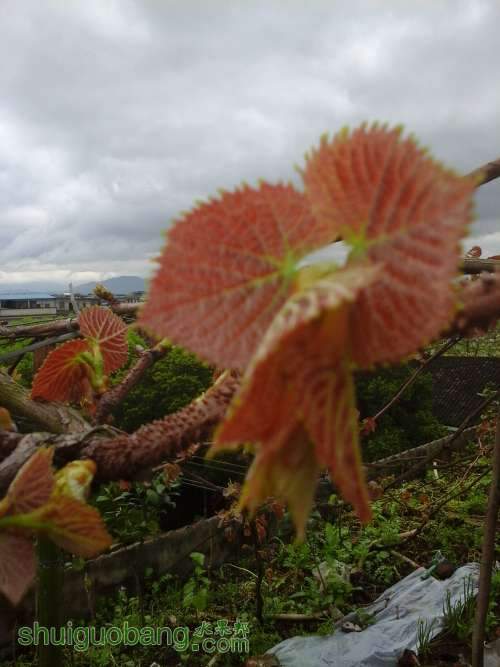 20140331_100021.jpg