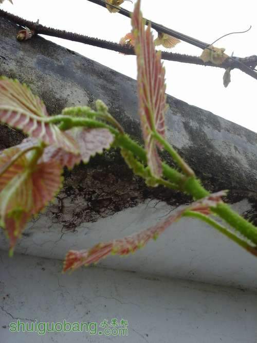 20140331_100040.jpg