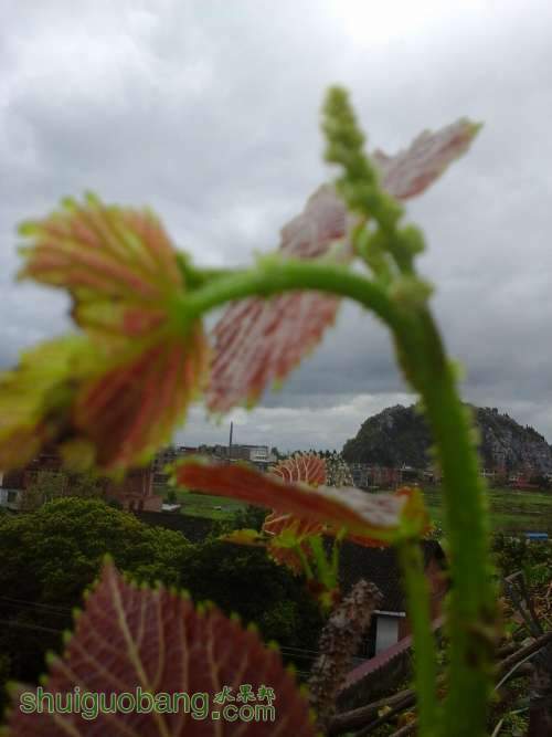 20140331_100058.jpg